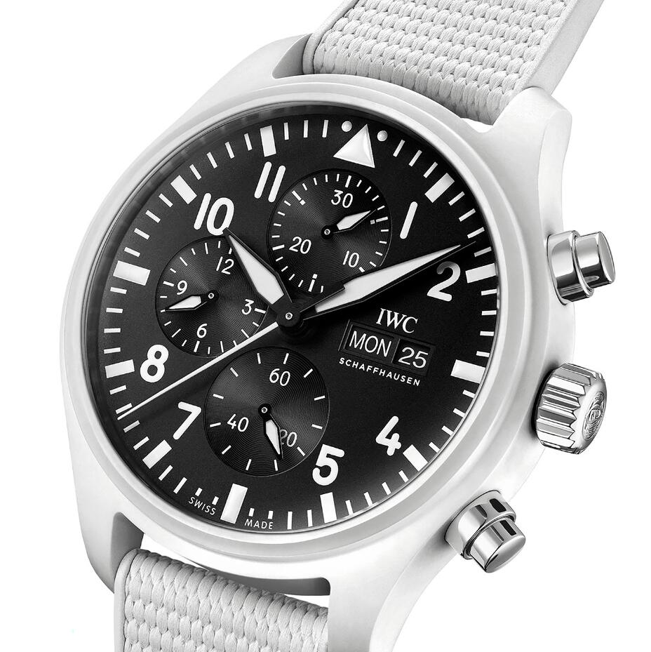 fake IWC